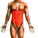 Полное руководство по тренировке мышц кора: где техника встречается с функциональностью Упражнения для укрепления кора для мужчин
